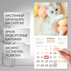 Календарь настенный на 2025 год «Котята» - Фото 1