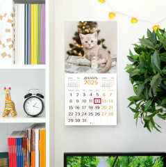 Календарь настенный на 2025 год «Котята» - Фото 2