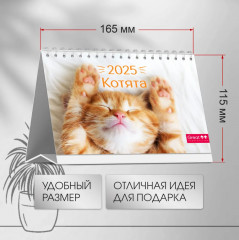 Календарь настольный на 2025 год «Котята» - Фото 1