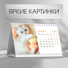 Календарь настольный на 2025 год «Котята» - Фото 2
