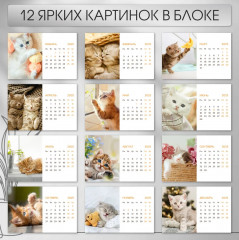 Календарь настольный на 2025 год «Котята» - Фото 5