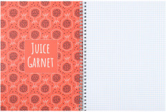 Тетрадь «Яркие плоды» - Фото 1