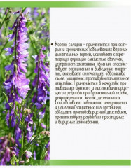 Экстракт растительный «Корень солодки» - Фото 4