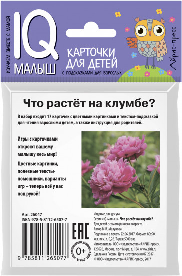 Умный малыш. Что растёт на клумбе?