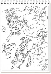 Блокнот. Разноцветные птицы - Фото 1