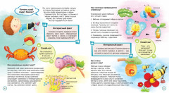 Как рыбы дышат под водой? - Фото 2