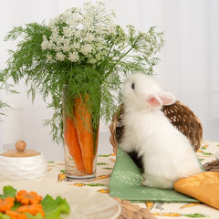 Полотенце «Ботаника» - Фото 1