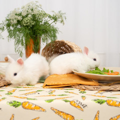 Полотенце «Ботаника» - Фото 2