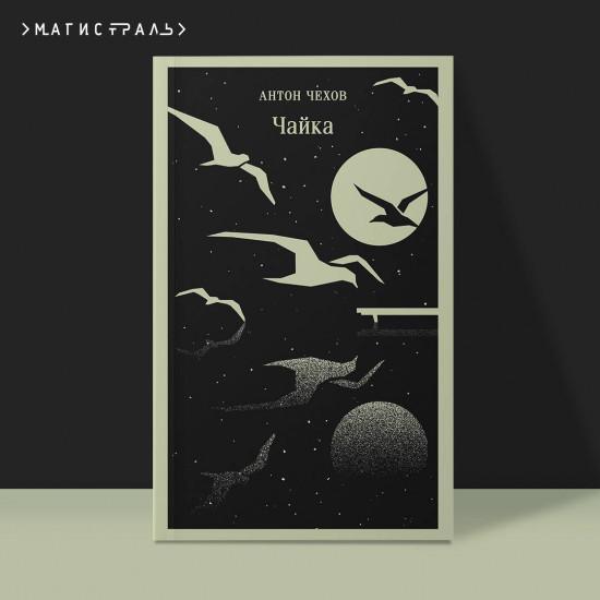 Чайка