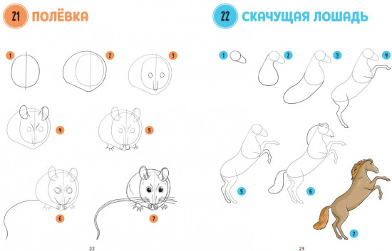 Большая книга животных. 300 рисунков шаг за шагом