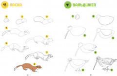 Большая книга животных. 300 рисунков шаг за шагом - Фото 4