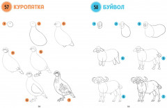 Большая книга животных. 300 рисунков шаг за шагом - Фото 5