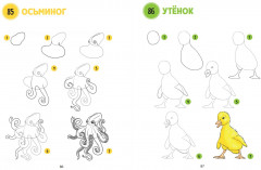 Большая книга животных. 300 рисунков шаг за шагом - Фото 7