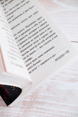 Френдзона - Фото 8