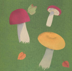 Где твой гриб? - Фото 2