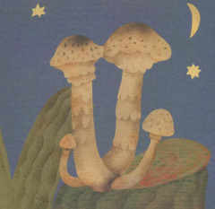 Где твой гриб? - Фото 4