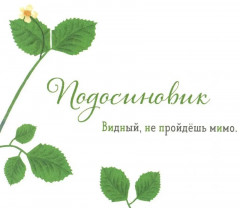 Где твой гриб? - Фото 7