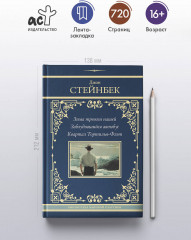 Зима тревоги нашей. Заблудившийся автобус. Квартал Тортилья-Флэт - Фото 3