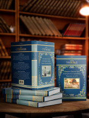 Зима тревоги нашей. Заблудившийся автобус. Квартал Тортилья-Флэт - Фото 4