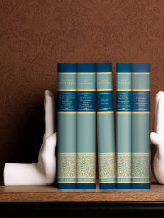 Зима тревоги нашей. Заблудившийся автобус. Квартал Тортилья-Флэт - Фото 5