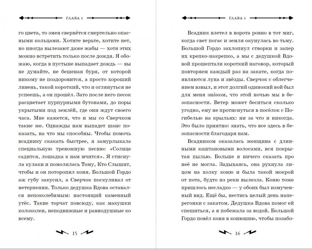 Гусси. Защитница с огненной скрипкой | Котелок с магией. Подростковое фэнтези | Фото 8