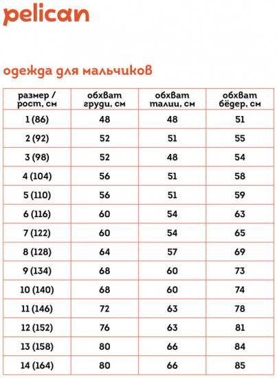 Лонгслив для мальчиков