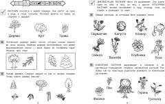 Мир вокруг - Фото 4