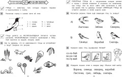 Мир вокруг - Фото 5