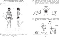 Мир вокруг - Фото 6