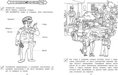 Мир вокруг - Фото 7