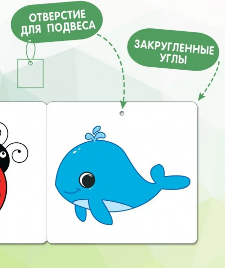 Карточки для новорожденных «Книжки-гармошки»