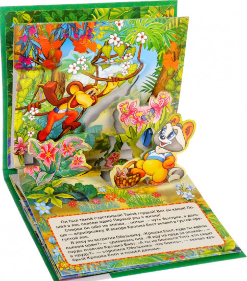 Крошка енот