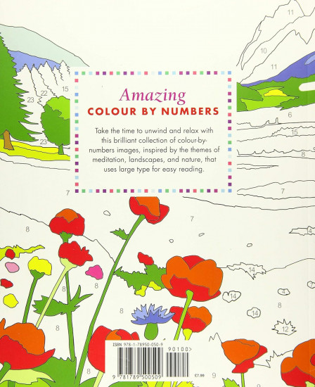 Amazing Colour-By-Numbers Large Print
