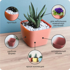 Набор горшков для суккулентов «Фьюжн» - Фото 6