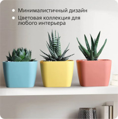 Набор горшков для суккулентов «Фьюжн» - Фото 7