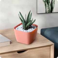 Набор горшков для суккулентов «Фьюжн» - Фото 8