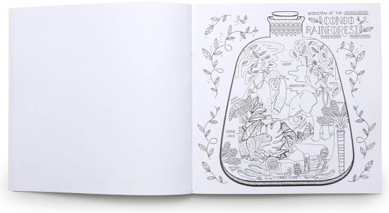 The Wondrous Workings of Science and Nature Coloring Book: 40 Line Drawings to Color