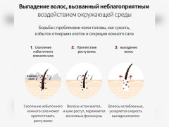 Сыворотка-филлер против выпадения волос «Dermatical Active Ampoule» - Фото 4