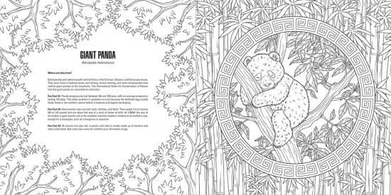 Baby Animals: A Smithsonian Coloring Book