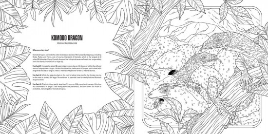 Baby Animals: A Smithsonian Coloring Book