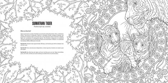 Baby Animals: A Smithsonian Coloring Book