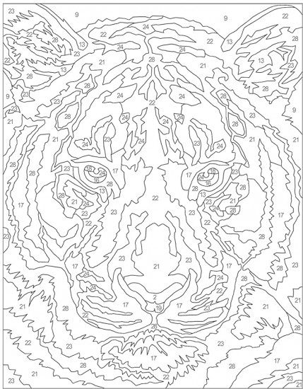 Calm Large Print Colour by Numbers