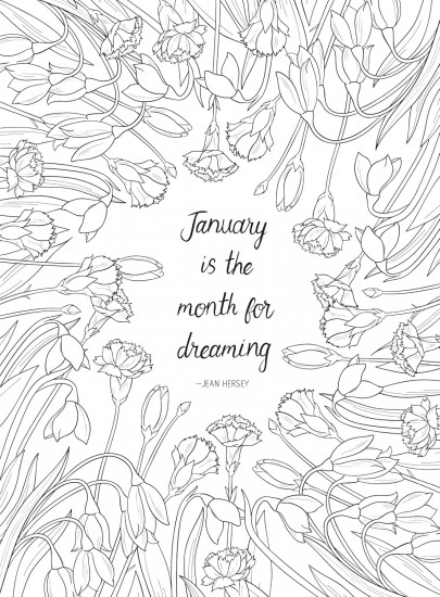 Creative Haven a Year in Flowers Coloring Book