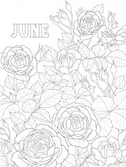 Creative Haven a Year in Flowers Coloring Book - Фото 5