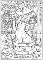 Creative Haven Autumn Harvest Coloring Book - Фото 6