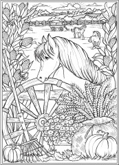 Creative Haven Autumn Harvest Coloring Book - Фото 8
