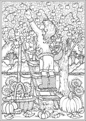 Creative Haven Autumn Harvest Coloring Book - Фото 9