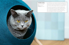 For the Love of Pets: Contemporary architecture and design for animals - Фото 10