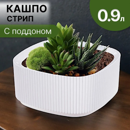 Кашпо со вставкой «Стрип»
