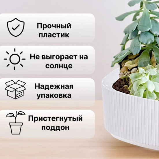 Кашпо со вставкой «Стрип»